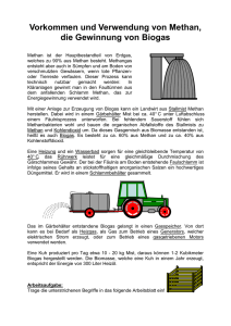 Vorkommen und Verwendung von Methan, die Gewinnung von Biogas