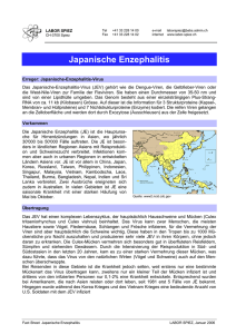 Japanische Enzephalitis