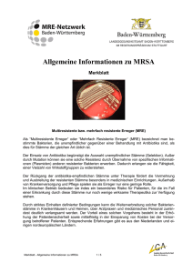 Allgemeine Informationen zu MRSA