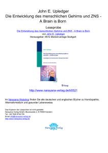 A Brain is Born - Ediciones Narayana