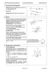 1. Geometrische Grundbegriffe 2. Winkel 3. Spiegelungen und