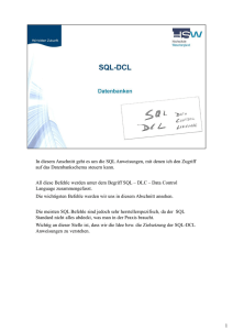 16_8335_303-SQL-DCL - Offene