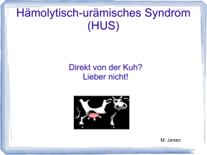 Hämolytisch-urämisches Syndrom (HUS)