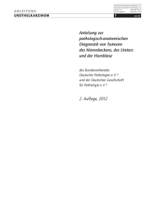 S1-Leitlinie Urothelkarzinom - Bundesverband Deutscher Pathologen