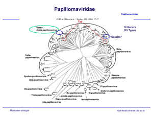 Papillomaviridae