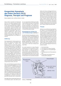 Kongenitale Hypoplasie des linken Herzens (HLH): Diagnose