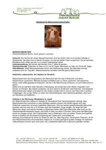 der Meerschweinchen-Steckbrief als PDF
