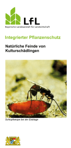 Die Publikation als PDF 1,3 MB - Bayerische Landesanstalt für