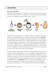 Stammzellen