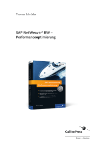 SAP NetWeaver BW – Performanceoptimierung