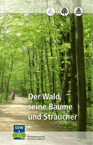 Der Wald, seine Bäume und Sträucher - SDW