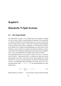 Kapitel 6 Klassische N-Spin Systeme