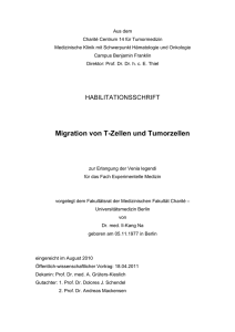 Migration von T-Zellen und Tumorzellen