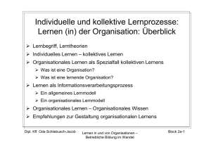 Lernen (in) der Organisation