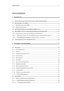 Monecke Thomas Diplomarbeit