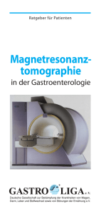 Flyer Gastro-Magnetresonanz - Gastro-Liga