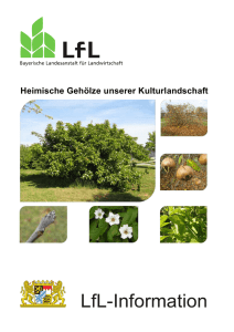 Die Publikation als PDF 2,8 MB - Bayerische Landesanstalt für