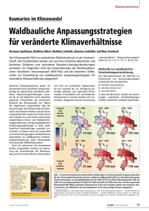 Waldbauliche Anpassungsstrategien für veränderte Klimaverhältnisse