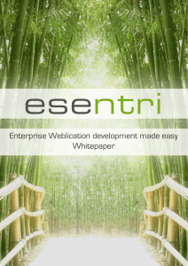 esentri Whitepaper Weblication Development