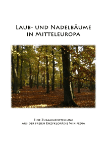 Laub- und Nadelbäume Mitteleuropas