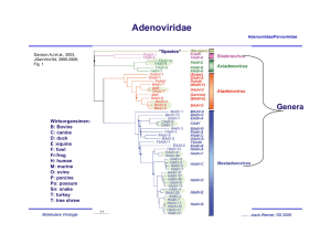 Adenoviridae