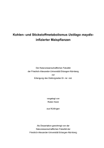 Kohlen- und Stickstoffmetabolismus Ustilago maydis