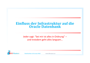 Einfluss der Infrastruktur auf die Oracle Datenbank