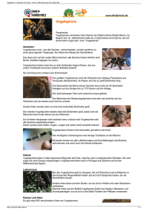 Vogelspinne PDF OLIs Tierlexikon