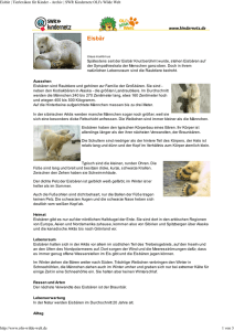 Eisbär - SWR Kindernetz