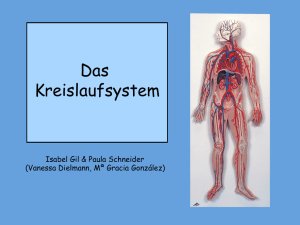 Das Kreislaufsystem