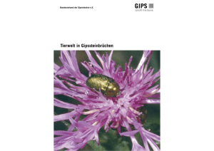 Tierwelt in Gipssteinbrüchen – Broschüre des Bundesverbandes der