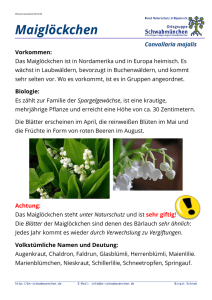 2015-05 Pflanzensteckbrief Maiglöckchen