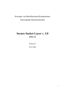 Secure Socket Layer v. 3.0 (SSLv3)