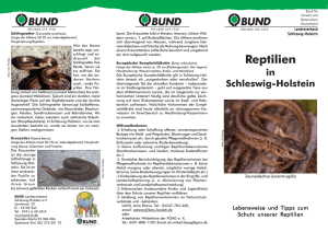 Reptilien - BUND Schleswig
