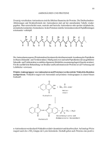 10 AMINOSÄUREN UND PROTEINE Zwanzig verschiedene