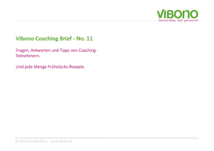 Vibono Coaching Brief