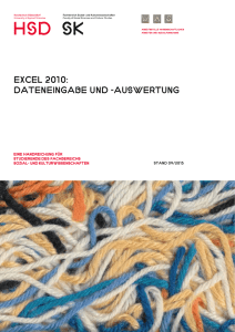 Excel 2010: DatenEingabe und