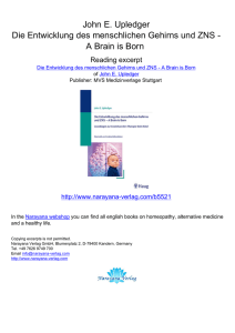 John E. Upledger Die Entwicklung des menschlichen Gehirns und