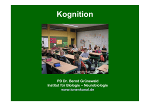 Kognition - Neurobiologie, FU Berlin