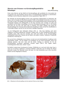 Hinweise zum Erkennen von Kirschessigfliegenbefall in Rebanlagen