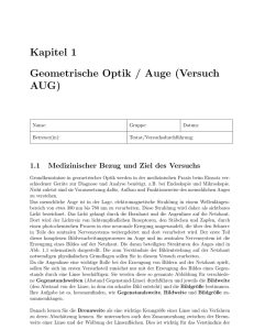 Kapitel 1 Geometrische Optik / Auge