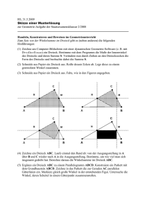 RS, 31.5.2009 Skizze einer Musterlösung zur Geometrie