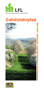 Die Publikation als PDF 3,3 MB - Bayerische Landesanstalt für