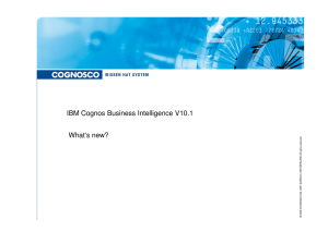 IBM Cognos Business Intelligence V10.1 IBM Cognos