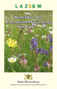 Kennarten des Artenreichen Grünlands im FAKT