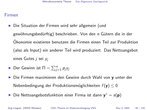 Fortgeschrittene VWL Theorie