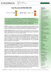 Anti-Borrelia-EUROLINE-WB