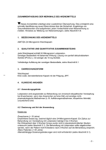 2 - ZUSAMMENFASSUNG DER MERKMALE DES