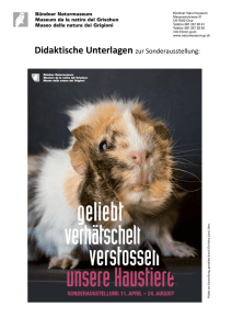 Unsere Haustiere - geliebt, verhätschelt, verstossen (2014)