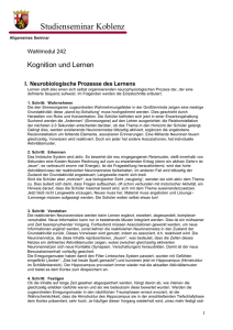 Neurobiologisches Grundwissen